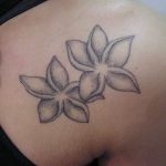 Fiori di Frangipani tatuati
