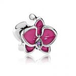Charm Orchidea Porpora prezzo 49 euro
