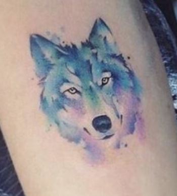 Piccolo tatuaggio colorato Lupo