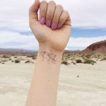 Piccolo tatuaggio per chi ama viaggiare