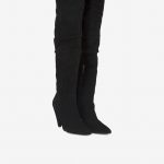 Stivali alti cuissardes Liu Jo in camoscio inverno 2018 2019 prezzo 289 euro mod Mily
