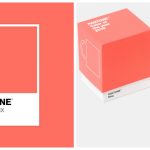 Colore Moda 2019 Living Coral