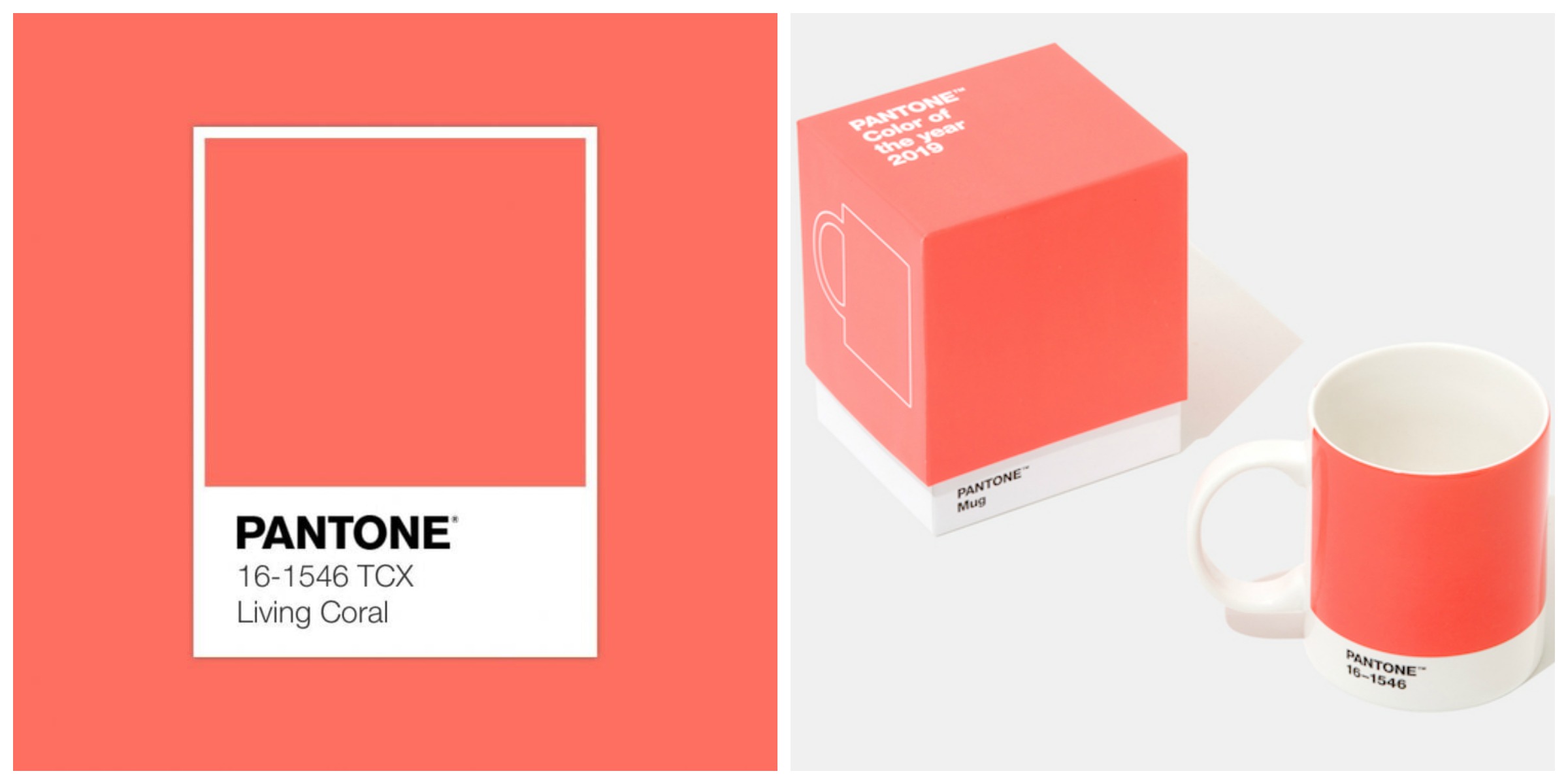 Colore Moda 2019 Living Coral