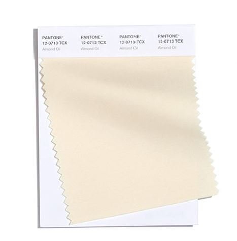 Colore Moda Inverno 2020 2021 Pantone Almond Oil Colore Moda Inverno 2020 2021 Pantone Almond Oil