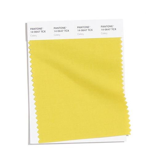Colore Moda Inverno 2020 2021 Pantone Celery Colore Moda Inverno 2020 2021 Pantone Celery