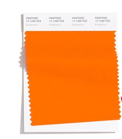 Colore Moda Inverno 2020 2021 Pantone Exuberance Colore Moda Inverno 2020 2021 Pantone Exuberance
