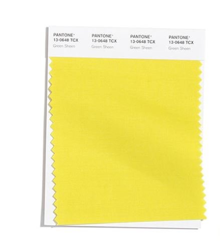Colore Moda Inverno 2020 2021 Pantone Green Sheen Colore Moda Inverno 2020 2021 Pantone Green Sheen