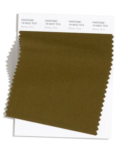 Colore Moda Inverno 2020 2021 Pantone Military Olive Colore Moda Inverno 2020 2021 Pantone Military Olive