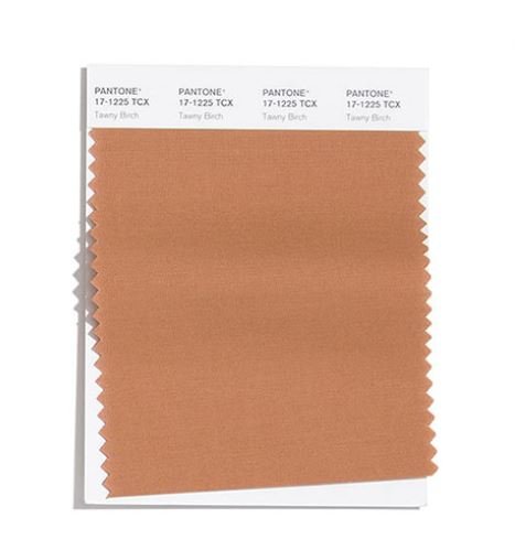 Colore Moda Inverno 2020 2021 Pantone Tawny Birch Colore Moda Inverno 2020 2021 Pantone Tawny Birch