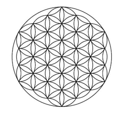 Disegno classico simbolo Fiore della Vita