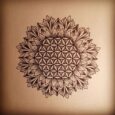 Fiore della Vita Tatuaggio Immagini e Significato