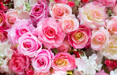 fiori per compleanno
