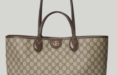 Nuova borsa Ophidia GUCCI 2023