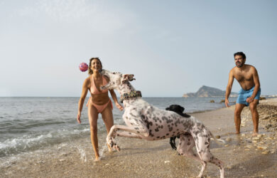 Spiagge per Cani in Italia